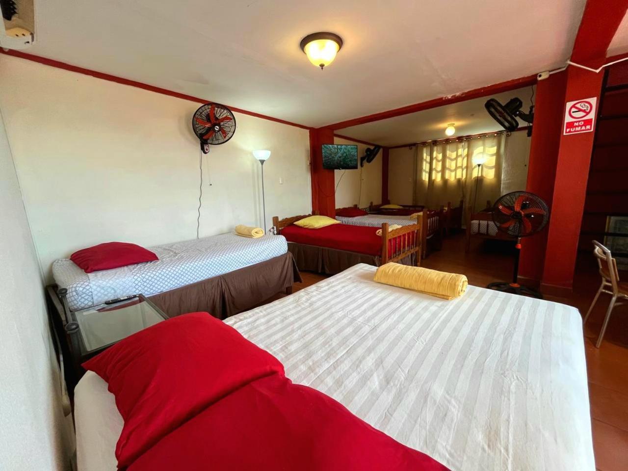 Hostal Lolita'S Boutique Ґранада Екстер'єр фото